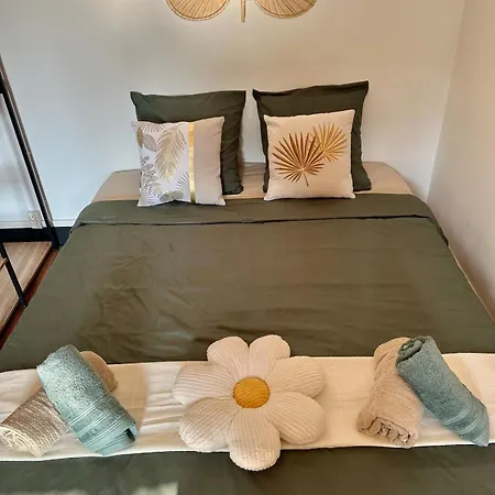 Cosy - Le Cerisier Appartement Valence (Drome)